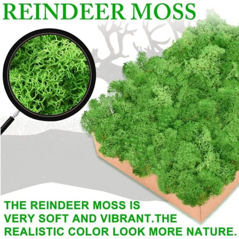 Premium Preserved Moss Decor Realistic Artificial Green Moss For DIY Crafts Terrariums Home Styli 0