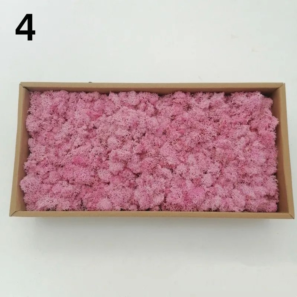 Premium Preserved Moss Decor Realistic Artificial Green Moss For DIY Crafts Terrariums Home Styli 15