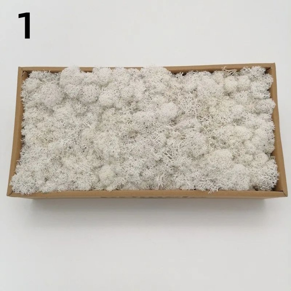 Premium Preserved Moss Decor Realistic Artificial Green Moss For DIY Crafts Terrariums Home Styli 12