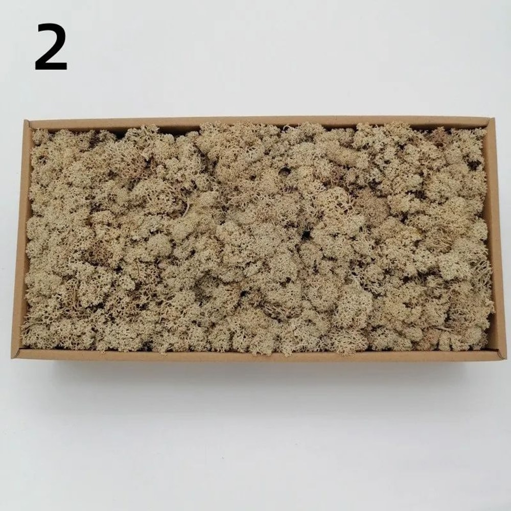 Premium Preserved Moss Decor Realistic Artificial Green Moss For DIY Crafts Terrariums Home Styli 13