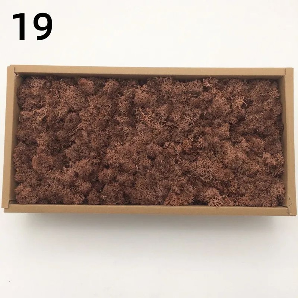 Premium Preserved Moss Decor Realistic Artificial Green Moss For DIY Crafts Terrariums Home Styli 20