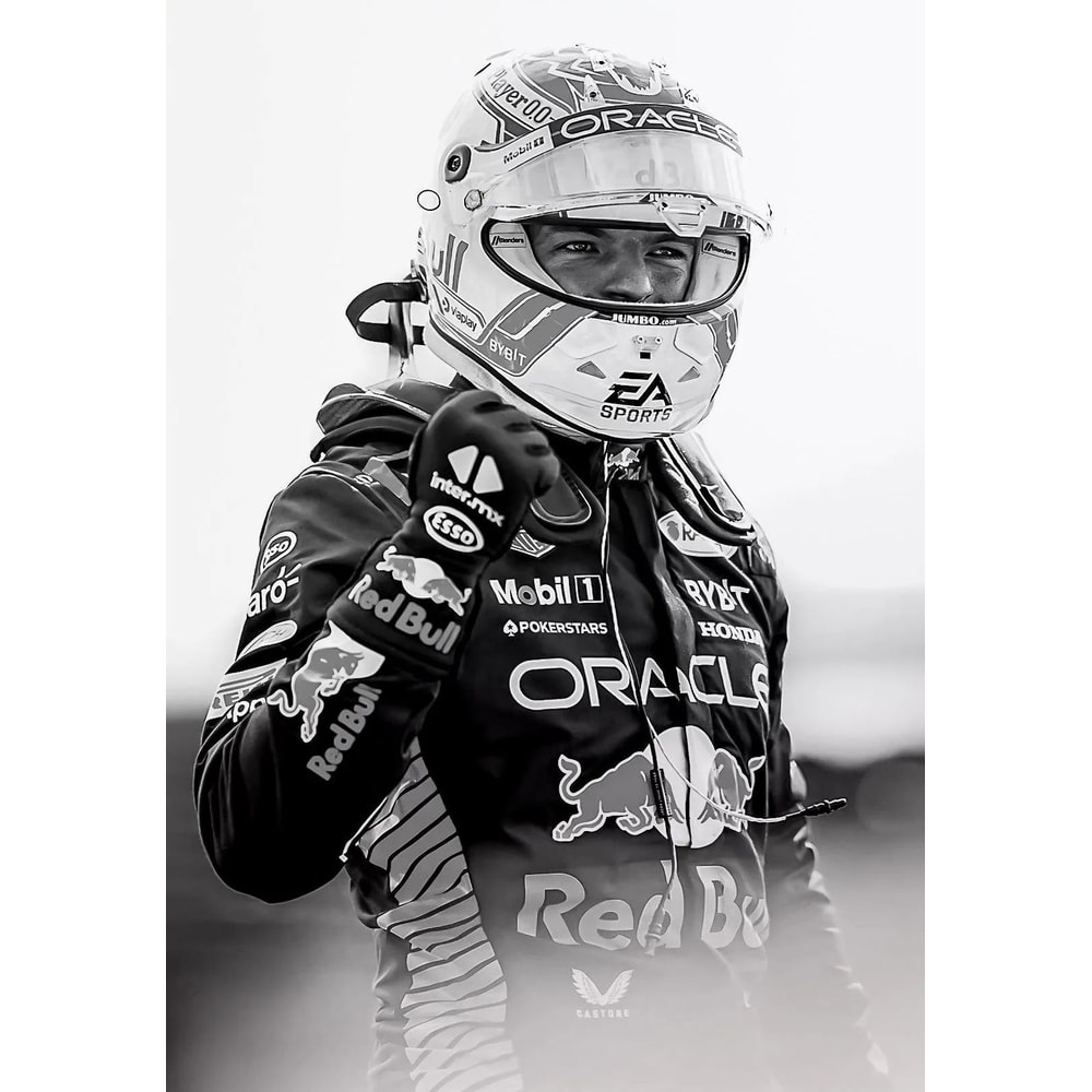 Vintage F1 Monaco Racing Canvas Wall Art Max Verstappen Formula 1 Poster Print For Home Decor 12