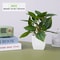 Mini Artificial Bonsai Plant Realistic Potted Fake Plant For Zen Garden Table Decor 21