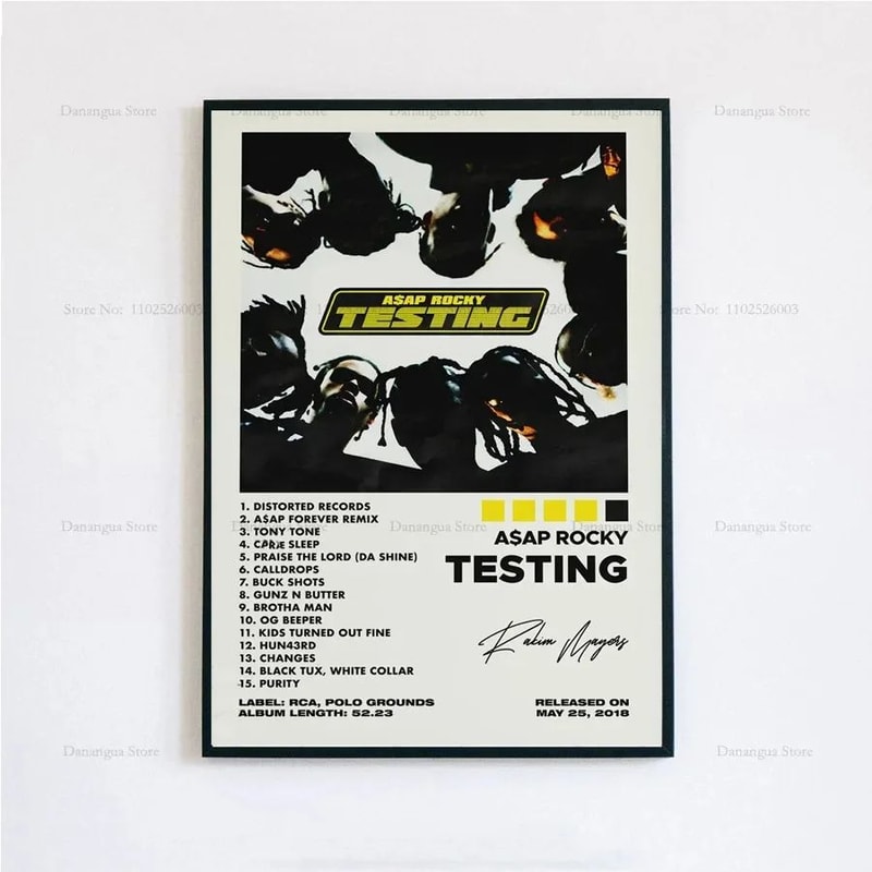 ASAP Rocky Testing Album Poster Hip Hop Music Wall Art Canvas Print Home Decor 22