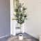 LuxeGreen Artificial Olive Tree Branch 47247087 In Tall Minimalist Indoor Outdoor Decor Plant 2