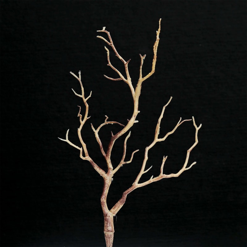 Artificial Antler Branch Decor Faux Plastic Tree Stems For Wedding Christmas Winter Table Centerp 10