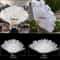 Luxury Ostrich Feather Fan Large Folding Dance Fan For Stage Carnival Performance 2