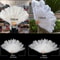 Luxury Ostrich Feather Fan Large Folding Dance Fan For Stage Carnival Performance 2