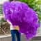 Luxury Ostrich Feather Fan Large Folding Dance Fan For Stage Carnival Performance 9