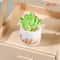 Miniature Resin Potted Plants Dollhouse Decorative Flower Pots Micro Garden Accessories 9