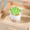 Miniature Resin Potted Plants Dollhouse Decorative Flower Pots Micro Garden Accessories 9