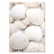 Nordic Beach Canvas Wall Art For Living Room White Shell Dandelion Floral Home Decor 8