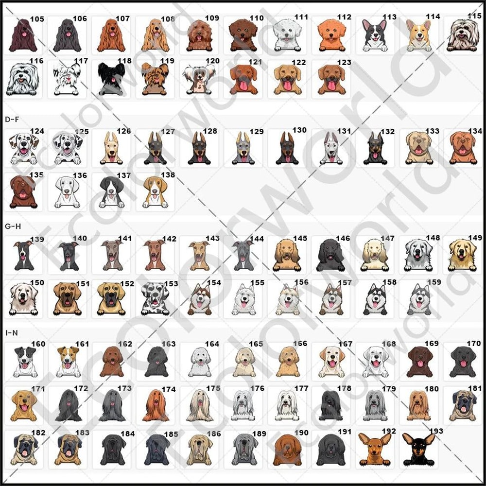 Custom Pet Name Doormat Rug Personalized Dog Cat Welcome Mat NonSlip Home Decor 1