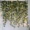 LED Ivy Vine String Lights Artificial Green Leaf Garland For Bedroom Wedding Home Decor 3