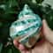 Natural Banded Hermit Crab Shell Large Polished Sea Shell Decor For Coastal Home Aquarium Display 2