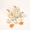 7pcs Artificial Pumpkin Decor Set Realistic Faux Harvest Pumpkins For Halloween Autumn Crafts 1