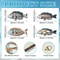 Ocean Fish Wooden Wall Art Set 4pcs Marine Carved Coastal Decor For Home Room 4