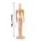Articulated Wooden Sketch Mannequin Adjustable Artist Drawing Model For Posing Desk Decor 7