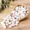 Natural White Polished Pebbles Decorative Garden Stones For Landscaping Pots Aquarium Decor 0