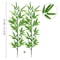 Artificial Bamboo Leaf Branch Tall Faux Greenery For Home Office Decor 6