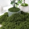 DIY Green Artificial Moss Decor Faux Preserved Moss For Crafts Terrariums Garden Styling 4