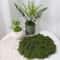 DIY Green Artificial Moss Decor Faux Preserved Moss For Crafts Terrariums Garden Styling 6