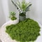 DIY Green Artificial Moss Decor Faux Preserved Moss For Crafts Terrariums Garden Styling 11