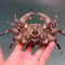 Real Crab Specimen Display Handcrafted Preserved Crab Ornament For Collectors Unique Home Decor 25