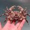 Real Crab Specimen Display Handcrafted Preserved Crab Ornament For Collectors Unique Home Decor 25