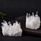 Natural White Crystal Cluster Raw Quartz Mineral Specimen Healing Stone For Home Decor 3