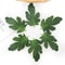 50pcs Artificial Watermelon Leaves Faux Greenery For DIY Crafts Wedding Decor Scrapbooking 3