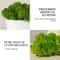 Natural Look Artificial Green Moss Simulation Eternal Moss For Wall Garden Micro Landscape Decor 2