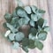 Silk Eucalyptus Leaves Artificial Plant Set 10pcs Faux Greenery For DIY Wedding Home Decor 1