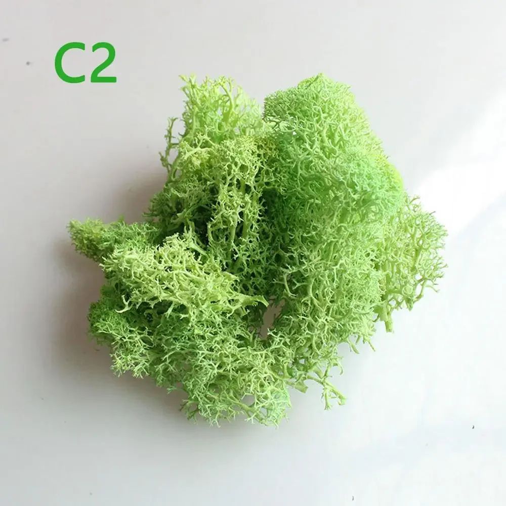 Artificial Eternal Moss Wall Decor Faux Green Micro Landscape Panel For DIY Garden Home Decoratio