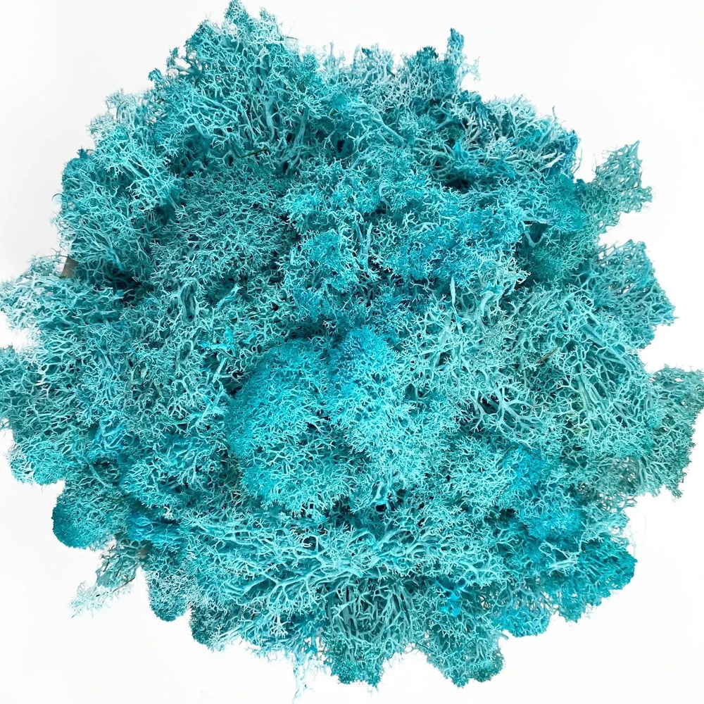 Artificial Reindeer Moss Decor Faux Green Moss For Crafts Potted Plants Wall Art 17