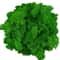 Artificial Reindeer Moss Decor Faux Green Moss For Crafts Potted Plants Wall Art 21