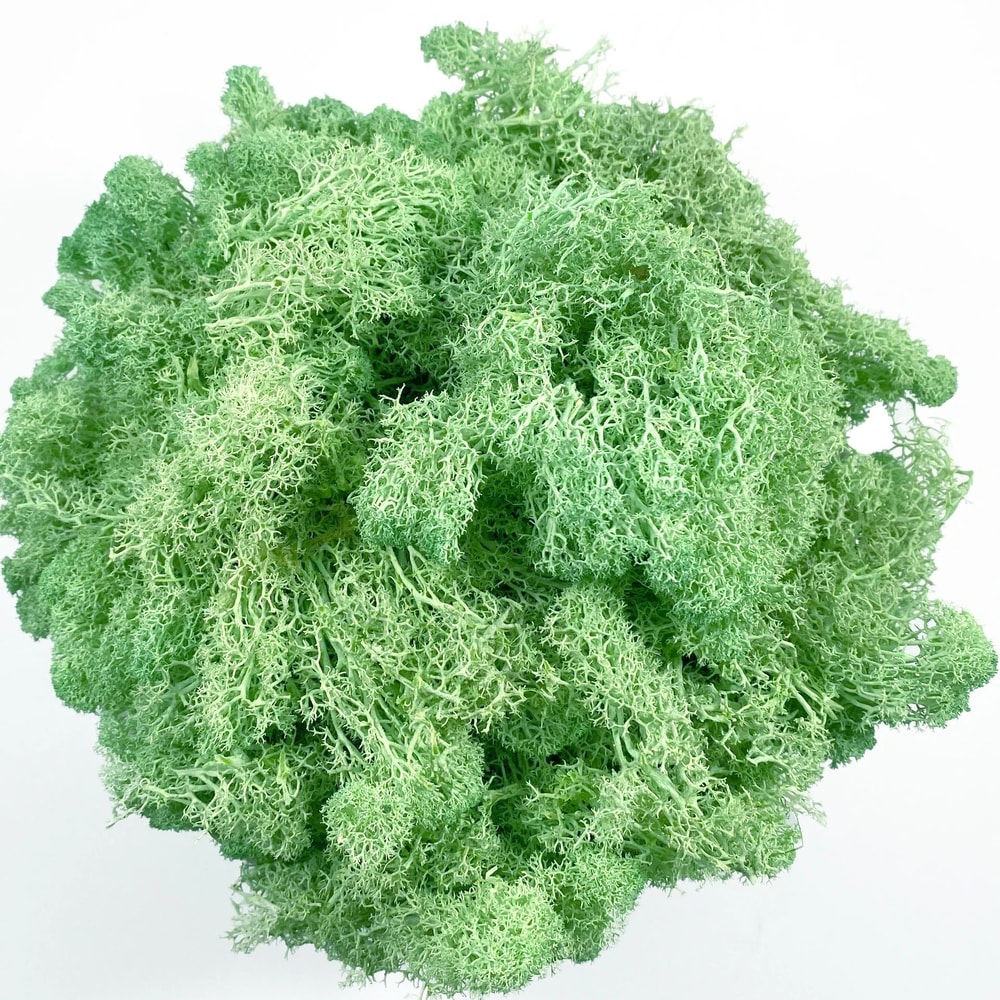 Artificial Reindeer Moss Decor Faux Green Moss For Crafts Potted Plants Wall Art 22
