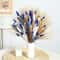 Natural Dried Bunny Tail Pampas Grass Bouquet Fluffy Blue Floral Stems For Elegant Home Event Dec 1