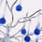 Modern Branch Crystal Chandelier Luxury Pink Blue Teardrop Hanging Ceiling Light 3