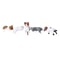 Mini Cute Cat Figurine Set 3D Resin Animal Desk Decor For Shelf Monitor Display 8