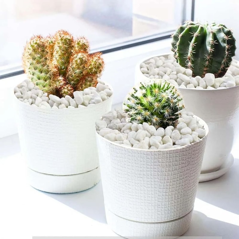 Premium Natural Cobblestone Decorative Pebbles For Succulents Aquariums Garden Decor 4