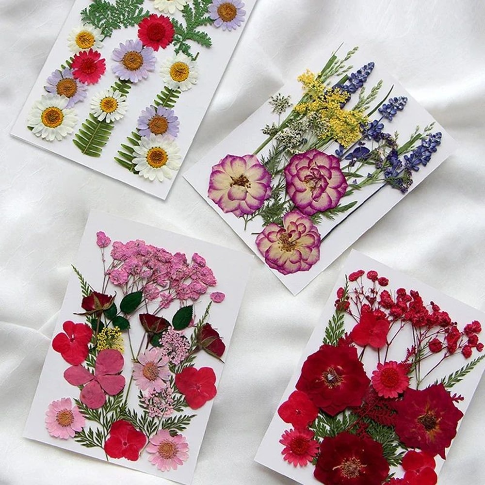 Premium Natural Dried Flower Resin Fillers Real Pressed Flowers For Nail Art Jewelry DIY Crafts 0