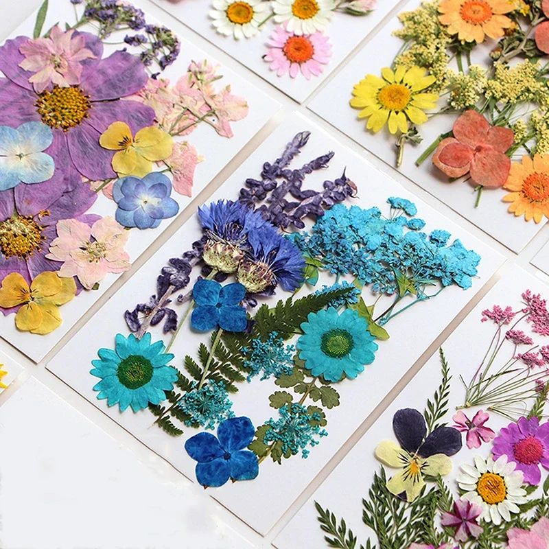 Premium Natural Dried Flower Resin Fillers Real Pressed Flowers For Nail Art Jewelry DIY Crafts 1
