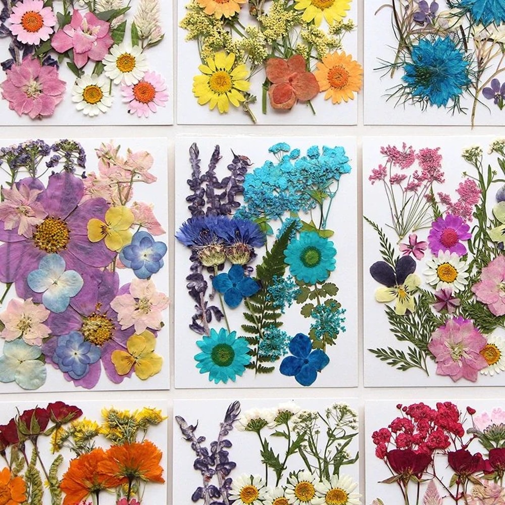Premium Natural Dried Flower Resin Fillers Real Pressed Flowers For Nail Art Jewelry DIY Crafts 3