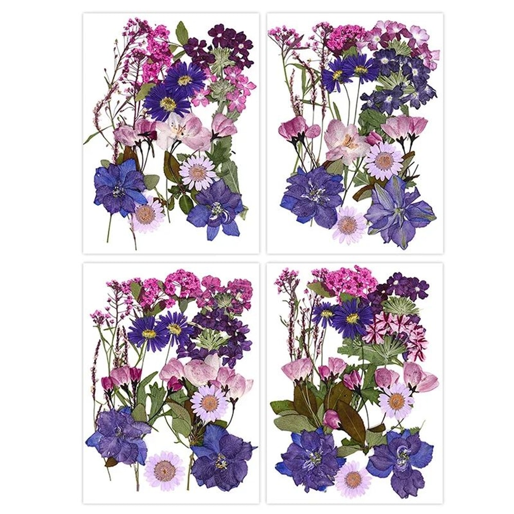 Premium Natural Dried Flower Resin Fillers Real Pressed Flowers For Nail Art Jewelry DIY Crafts 5