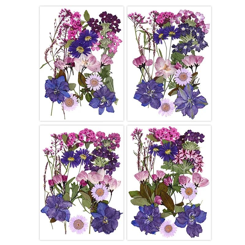 Premium Natural Dried Flower Resin Fillers Real Pressed Flowers For Nail Art Jewelry DIY Crafts 5