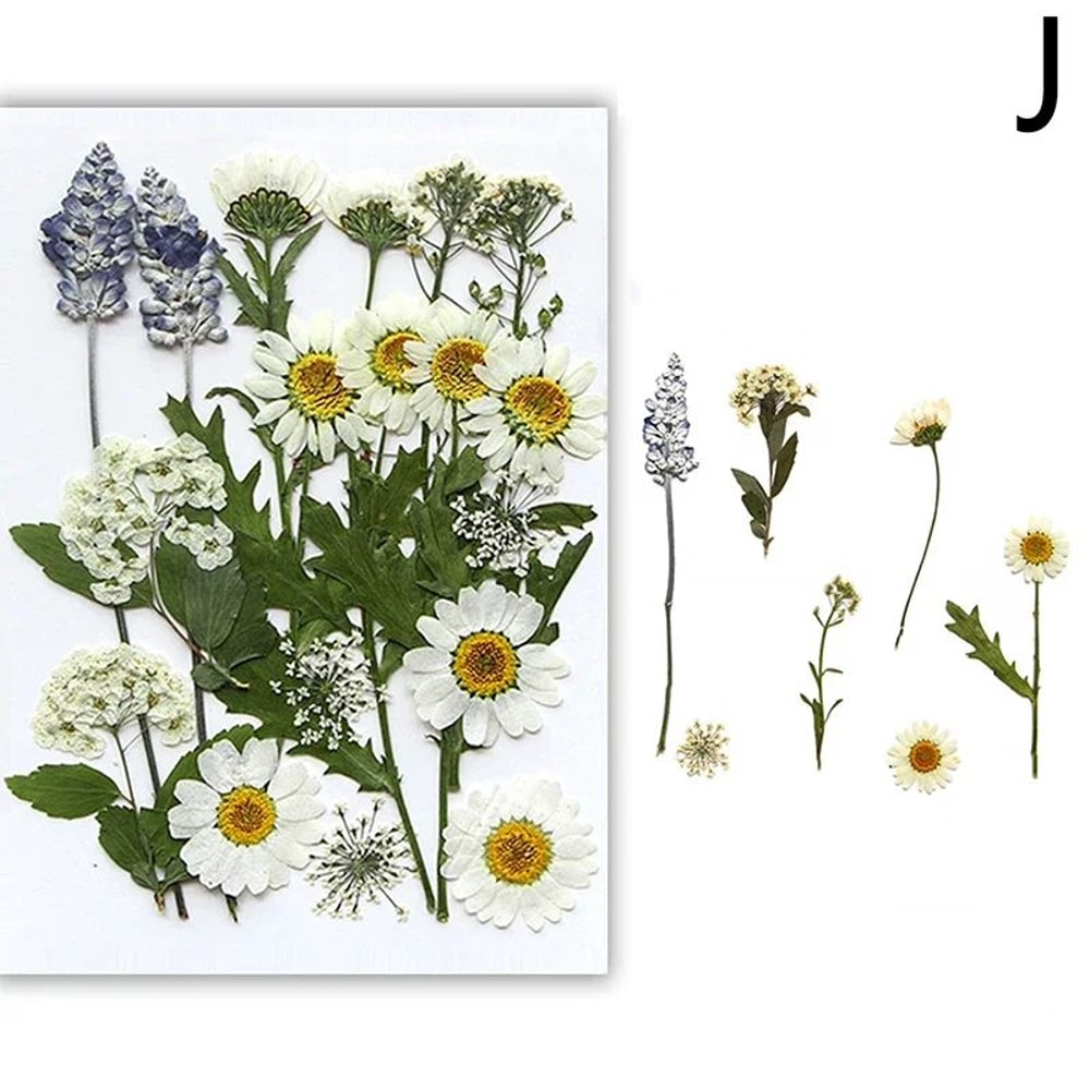 Premium Natural Dried Flower Resin Fillers Real Pressed Flowers For Nail Art Jewelry DIY Crafts 15