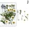 Premium Natural Dried Flower Resin Fillers Real Pressed Flowers For Nail Art Jewelry DIY Crafts 15