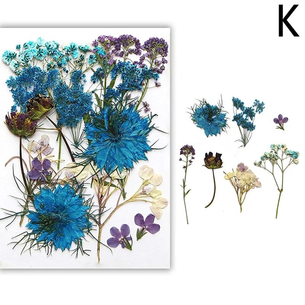 Premium Natural Dried Flower Resin Fillers Real Pressed Flowers For Nail Art Jewelry DIY Crafts 16
