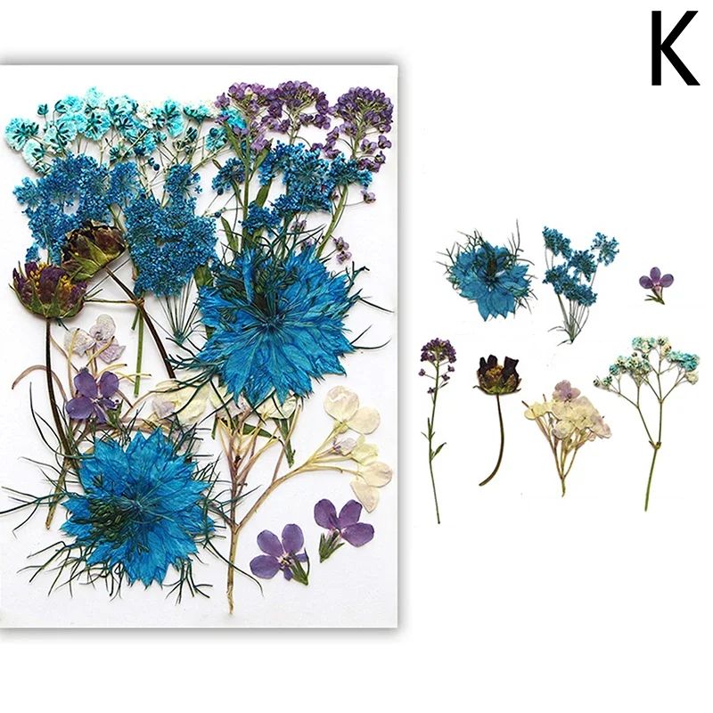 Premium Natural Dried Flower Resin Fillers Real Pressed Flowers For Nail Art Jewelry DIY Crafts 16